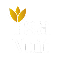 Ysa Nuit - Logo